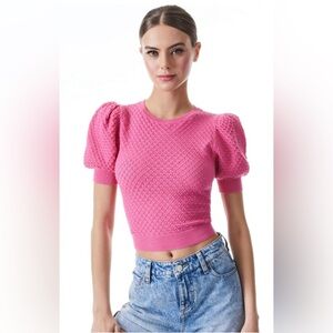 ALICE + OLIVIA Risa Puff Sleeve Pointelle Pullover Short Sleeve Lace Top Sz L